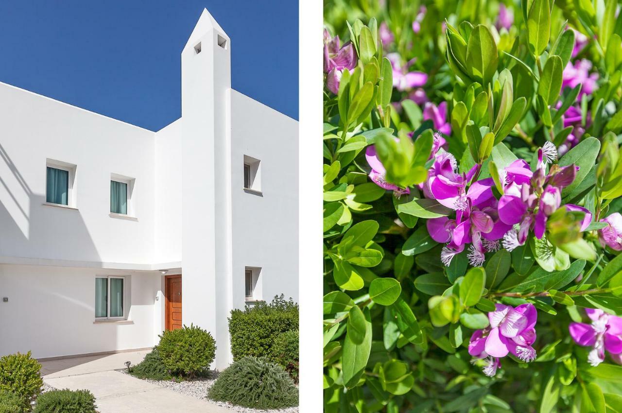 Vasilia Seaview Selvi Village Apt المظهر الخارجي الصورة